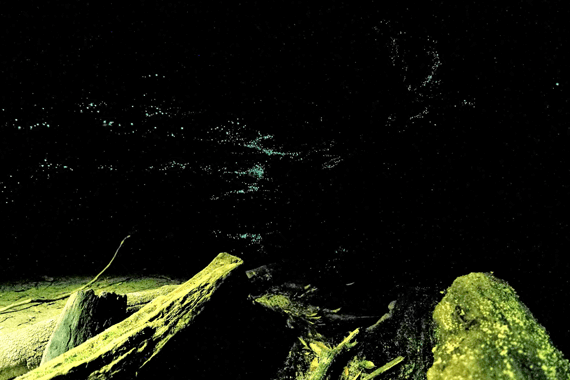 Glow Worm Tunnel 4wd